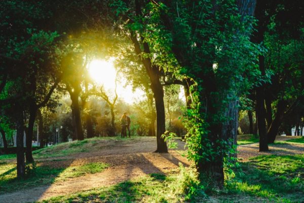 servizio fotografico fidanzati roma