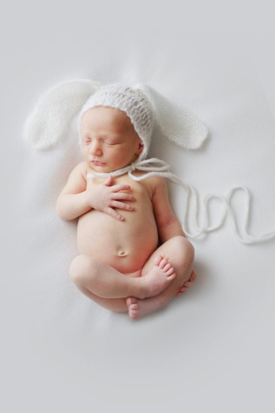 newborn bunny