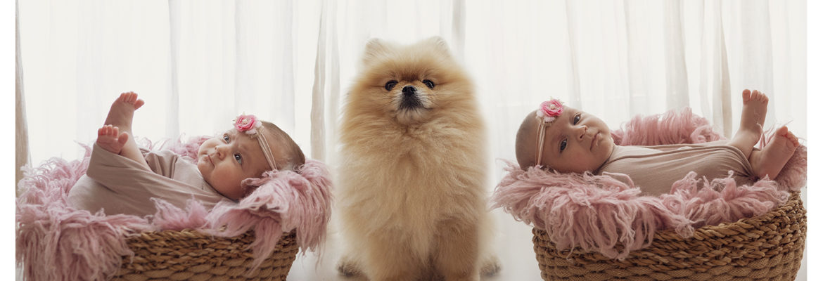 Protetto: MV & G – Servizio Fotografico Oldborn Napoli