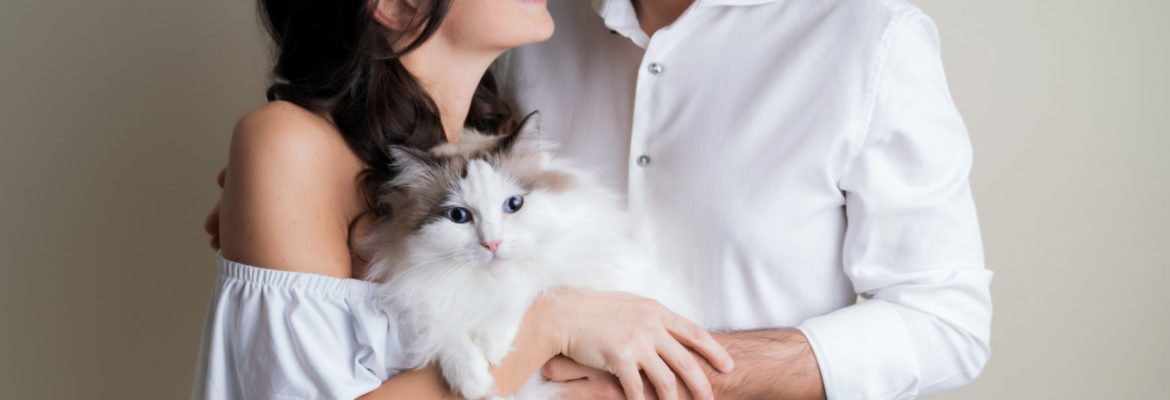 Protetto: Manuela Bandoli: Gold Pack