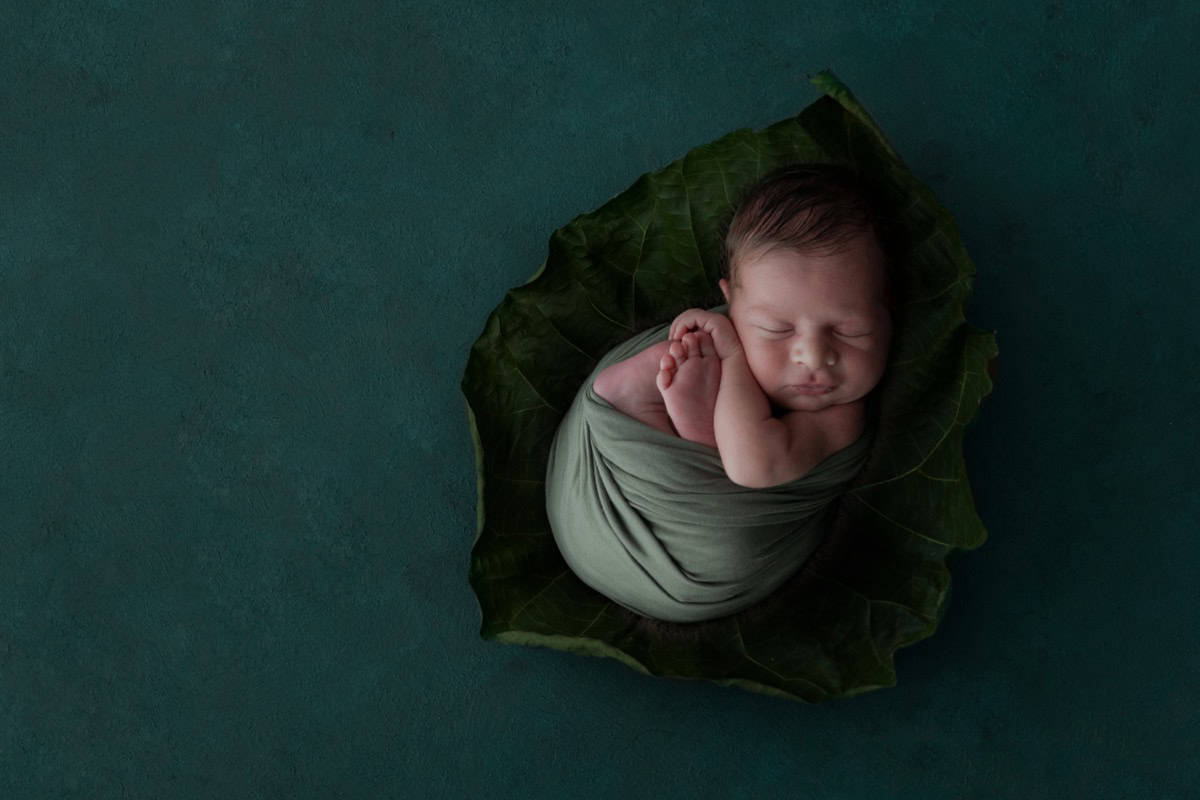 foto newborn e famiglia