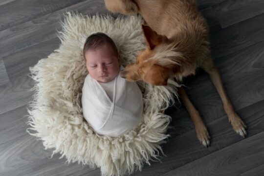 Foto newborn e famiglia